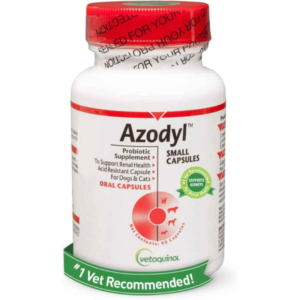 Kidney / Renal Function Support