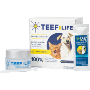 Plant-Derived Daily Dental Care